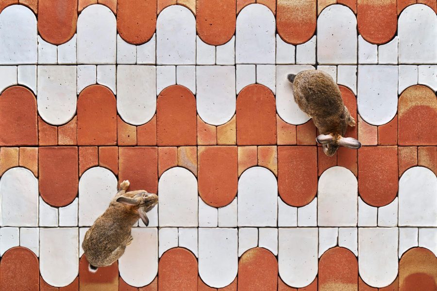 diseño suelo de barro blanco rojo conejos