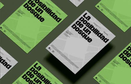 La posibilidad de un bosque