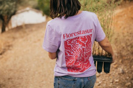 Florestasur. Branding e identidad visual para cooperativa forestal